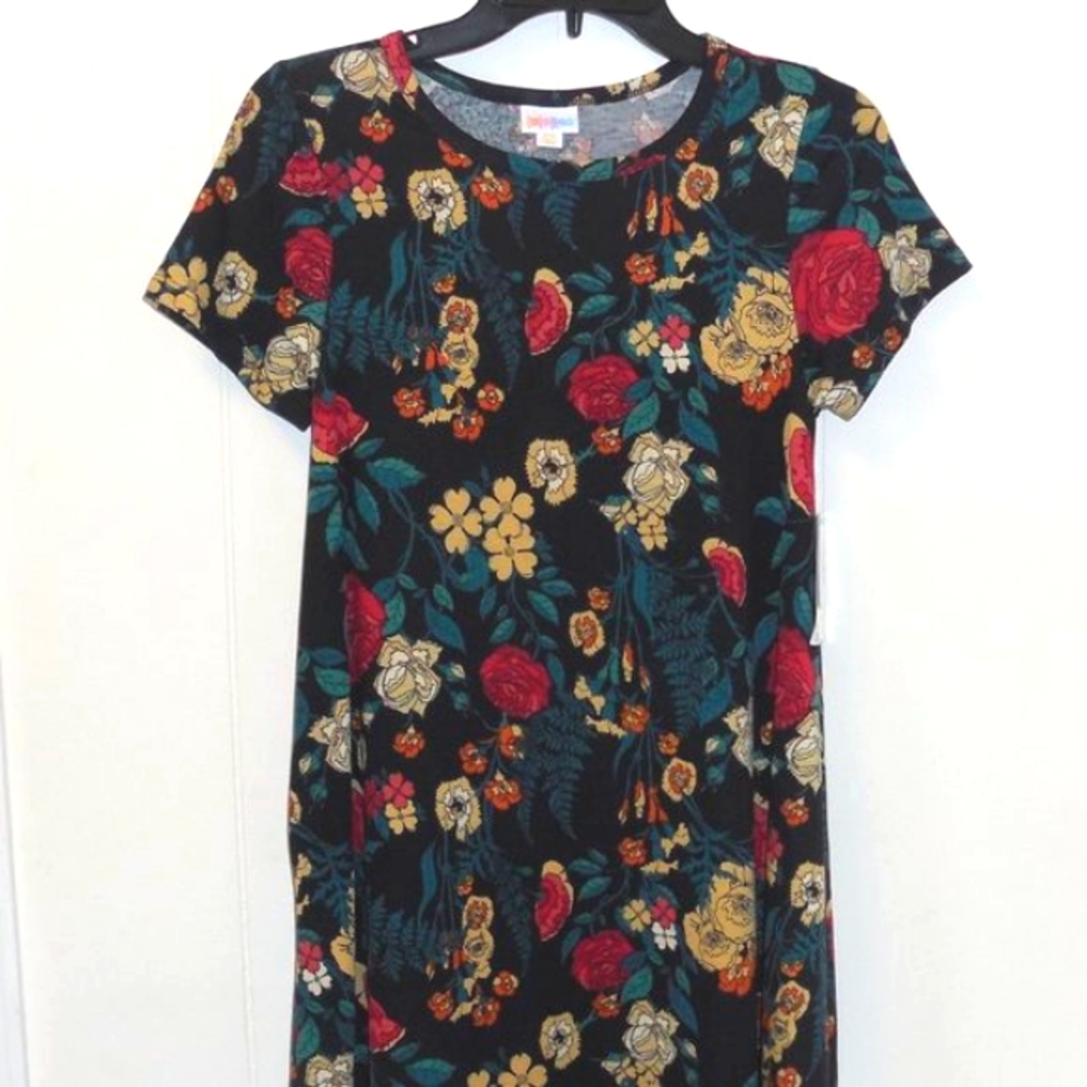 LuLaRoe Carly dress spring floral XXS NWT